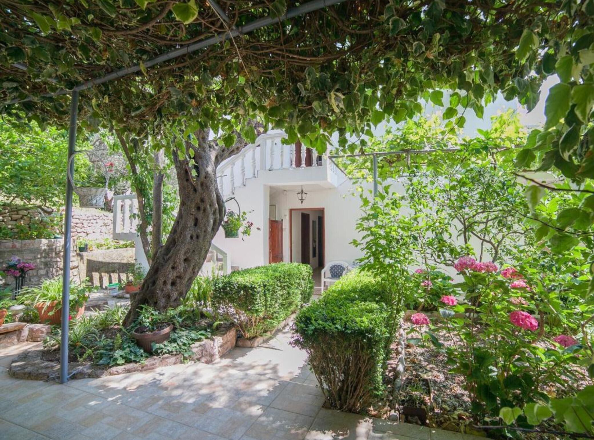 A garden pathway leading to a white building with a wooden door, surrounded by lush greenery and flowering plants.