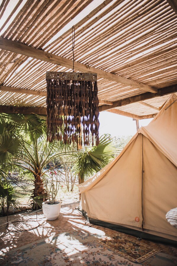 Terrace/patio - Crania Reclaim Camp (San José del Cabo)