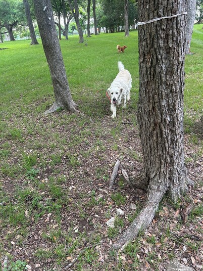 Cute Red 1-bedroom cottage  in  San Marcos. Dog friendly. Room Service