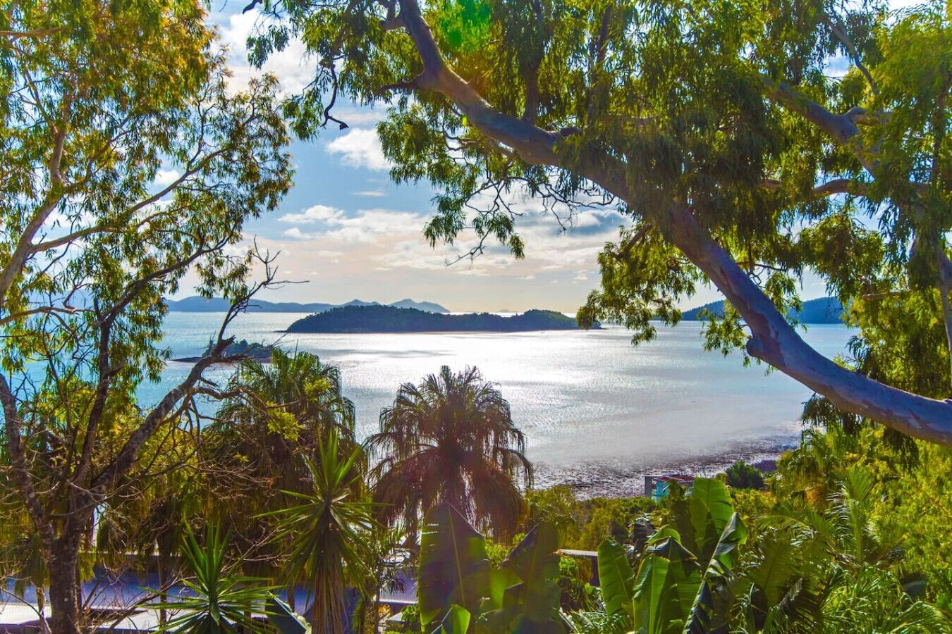 Vista costera con una masa de agua, una isla distante y vegetación exuberante.