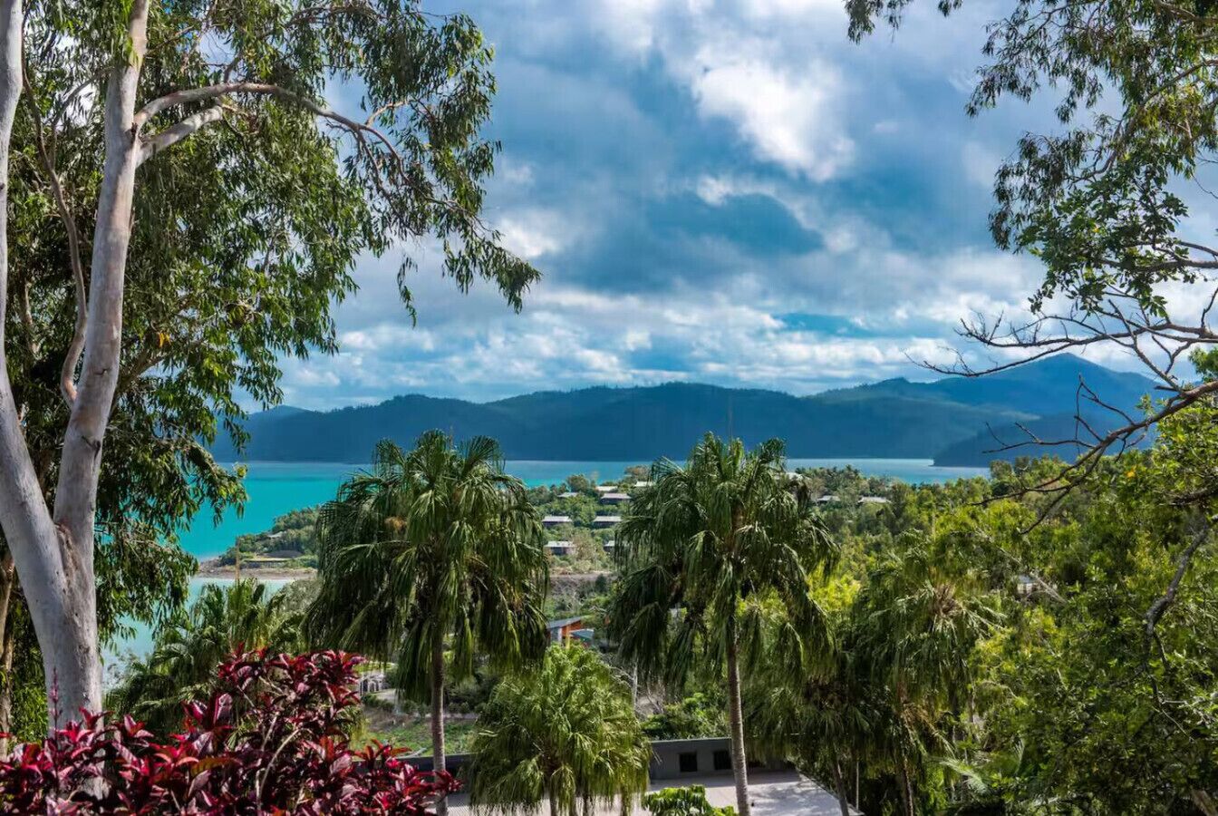 A coastal landscape with a view of the sea and mountains, surrounded by lush greenery and palm trees.