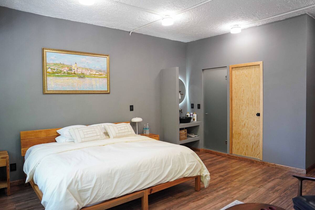 Economy Room | Egyptian cotton sheets, premium bedding, down comforters, WiFi (free)