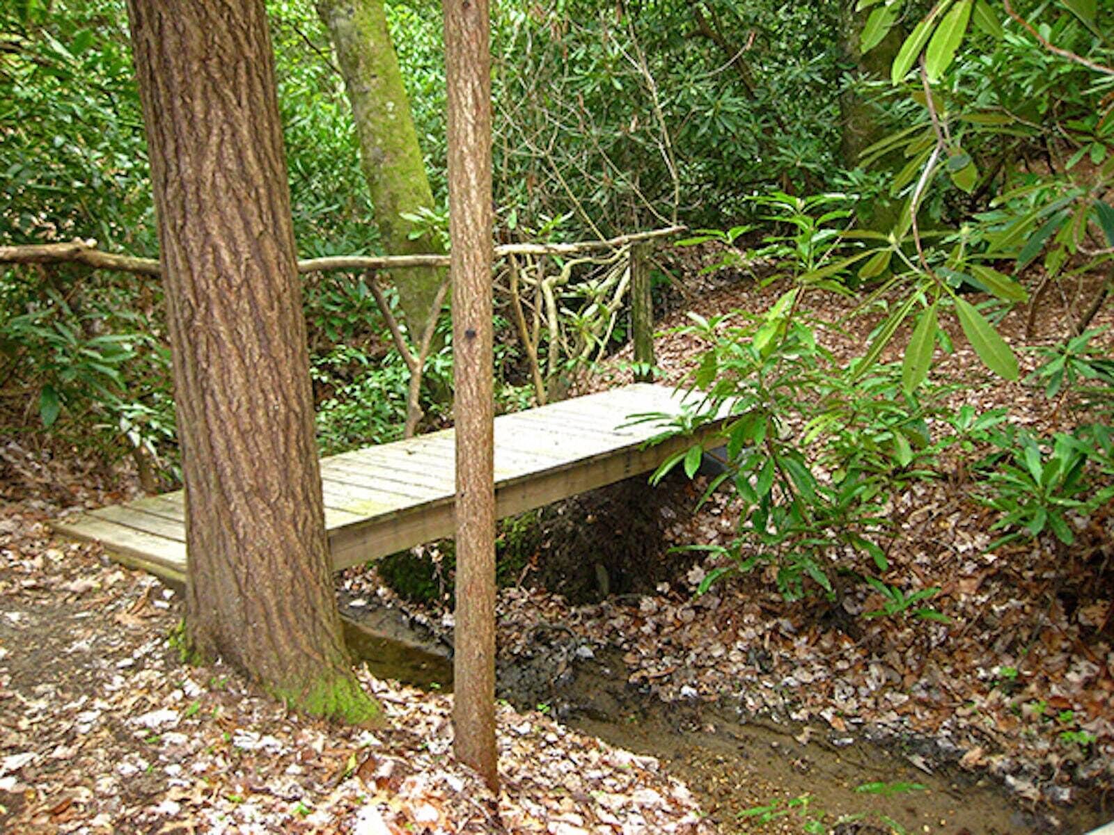 Un pont en bois situé dans une zone boisée, caractérisée par un feuillage dense et de nombreux arbres.
