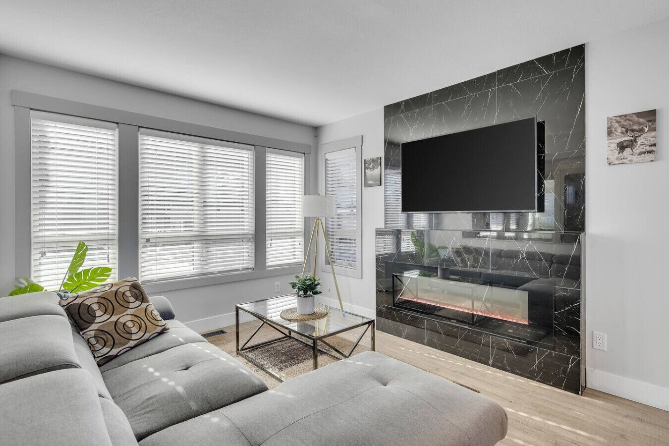 Télévision, cheminée