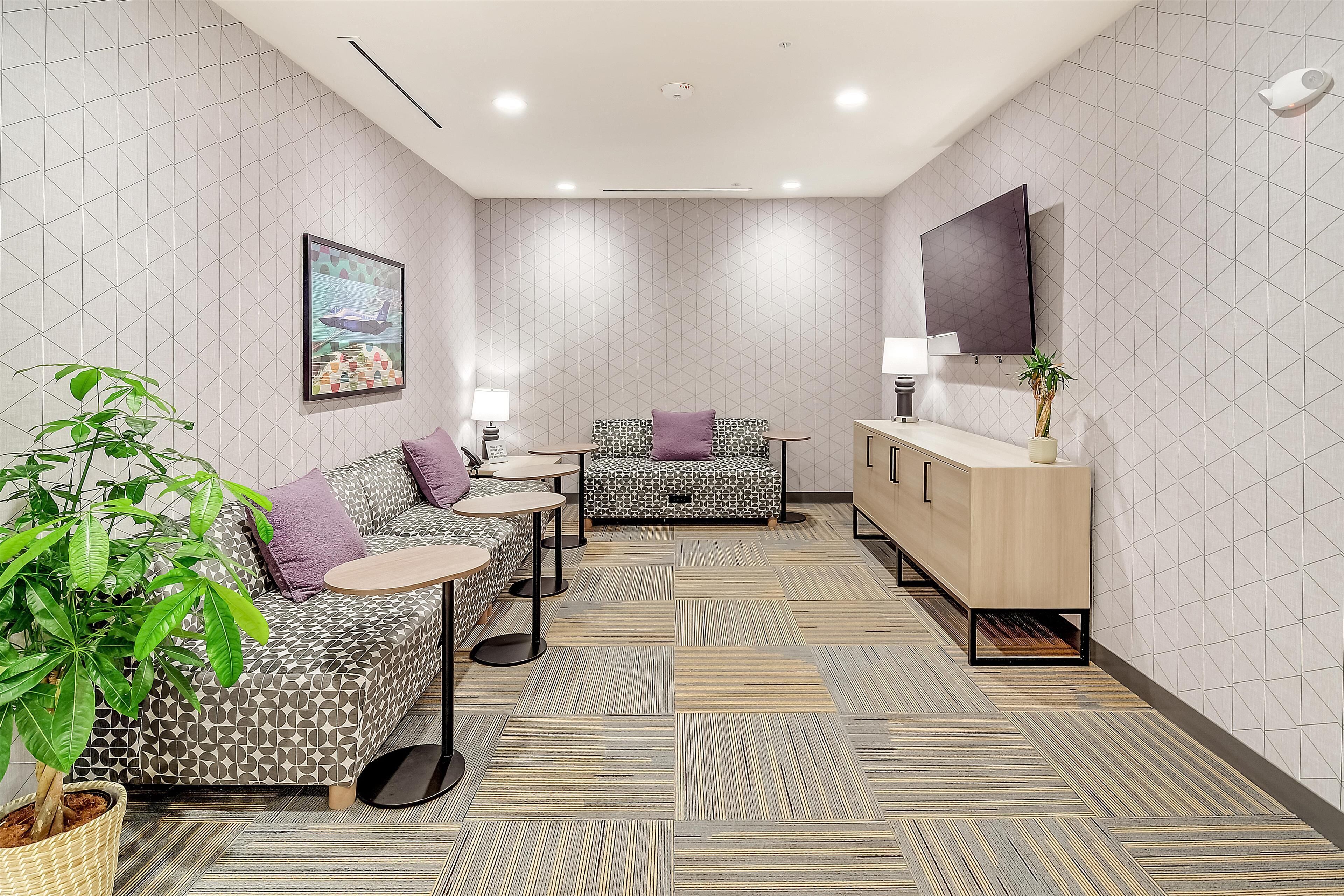 A modern hotel room with a sofa, a small table, a cabinet, and a large plant.