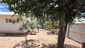 Zona residencial com uma árvore, um pequeno jardim e um edifício ao fundo.
