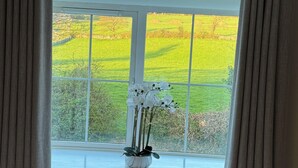 A bedroom with a large window, a bed, a bedside table, and a hanging light fixture. - No 31 Killarney Holiday Village for 8! Ideal Location! (Killarney)