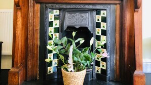 Una chimenea con un televisor enmarcado encima, un candelabro y una planta en maceta al frente.