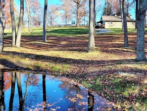 Unclassified image, 4 of 53, button