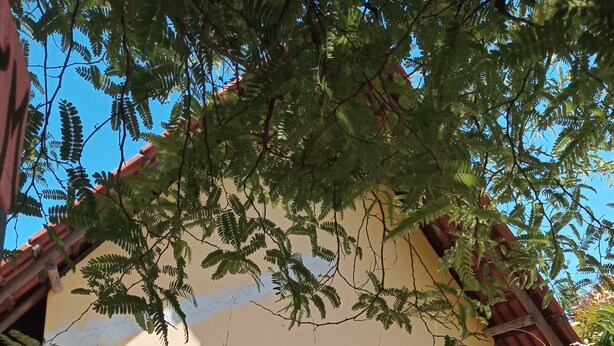 Una casa con fachada amarilla, contraventanas de madera y un porche con sillas de plástico.