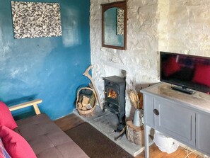 Fireplace - 1 bedroom accommodation in Llanybydder (Llanybydder)
