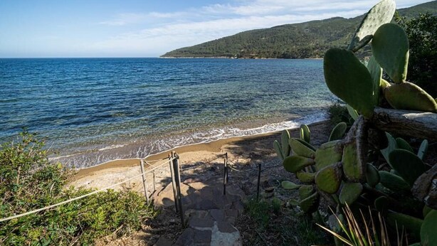 A coastal view with clear blue sea, a sandy beach, and a cactus plant. - Villa with private beach and pool (Toscana)