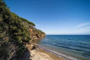 Un paisaje costero con una playa rocosa y vegetación densa.