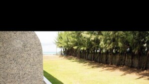 A balcony with a white railing, a green vase with flowers, and a view of a grassy area with trees and a fence. - Marupiara Flat, equipped, free Wi-Fi and parking, best part of the beach (N. São do Ó)