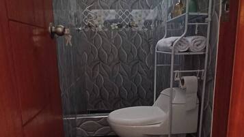 Shower, towels, soap, toilet paper