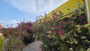 外觀
