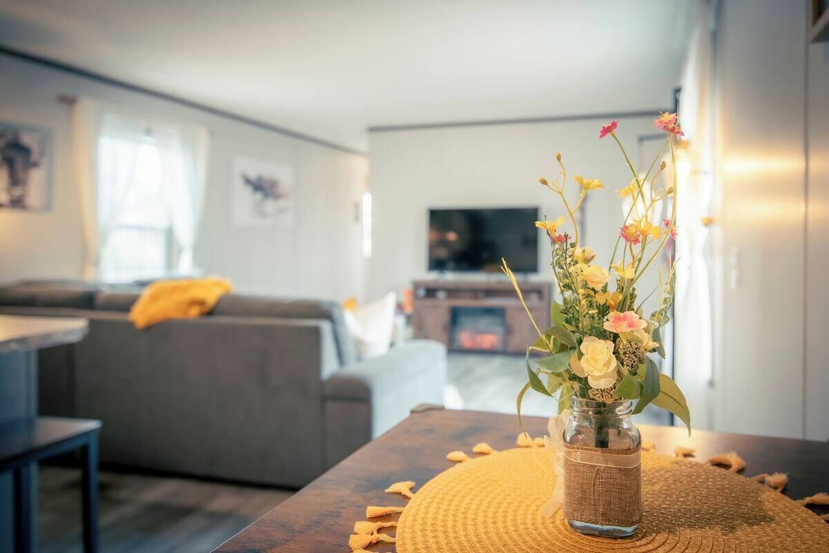 Smart TV, fireplace