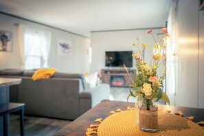Smart-tv och eldstad