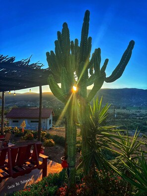 Terrace/patio - Charming fully equipped cottage in Valle de Guadalupe - Early check in! (Ensenada)
