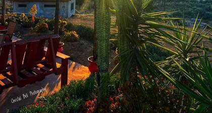 Charming fully equipped cottage in Valle de Guadalupe - Early check in!
