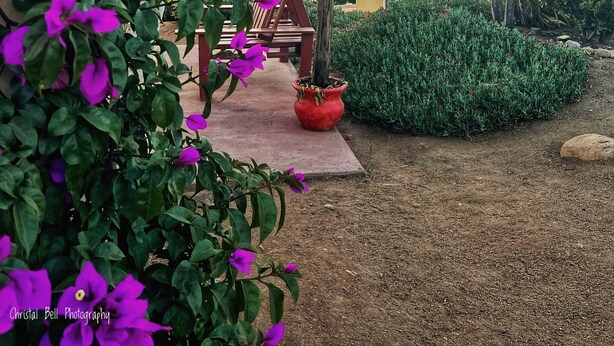 Property grounds - Charming fully equipped cottage in Valle de Guadalupe - Early check in! (Ensenada)
