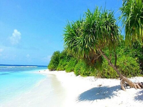 Escape to Paradise at Charming Holiday Lodge, Addu City Meedhoo in Maldives