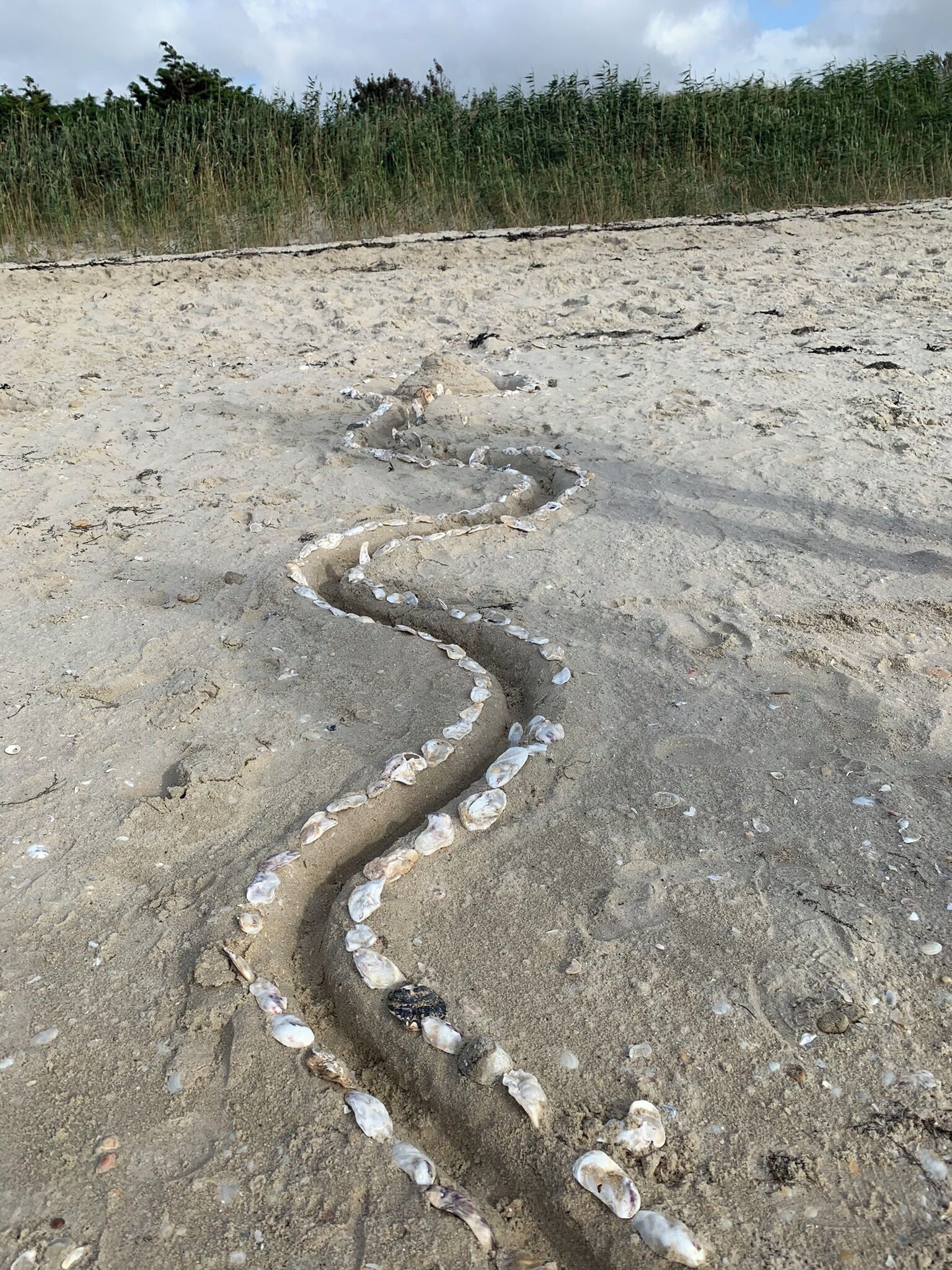 A sandy beach with a winding path made of shells.