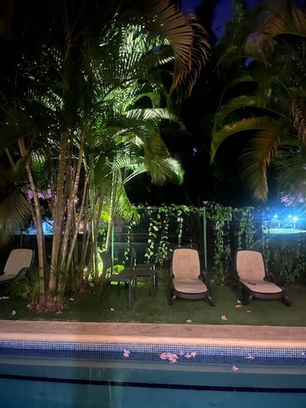 Zona junto a la piscina con sillones de descanso y palmeras.
