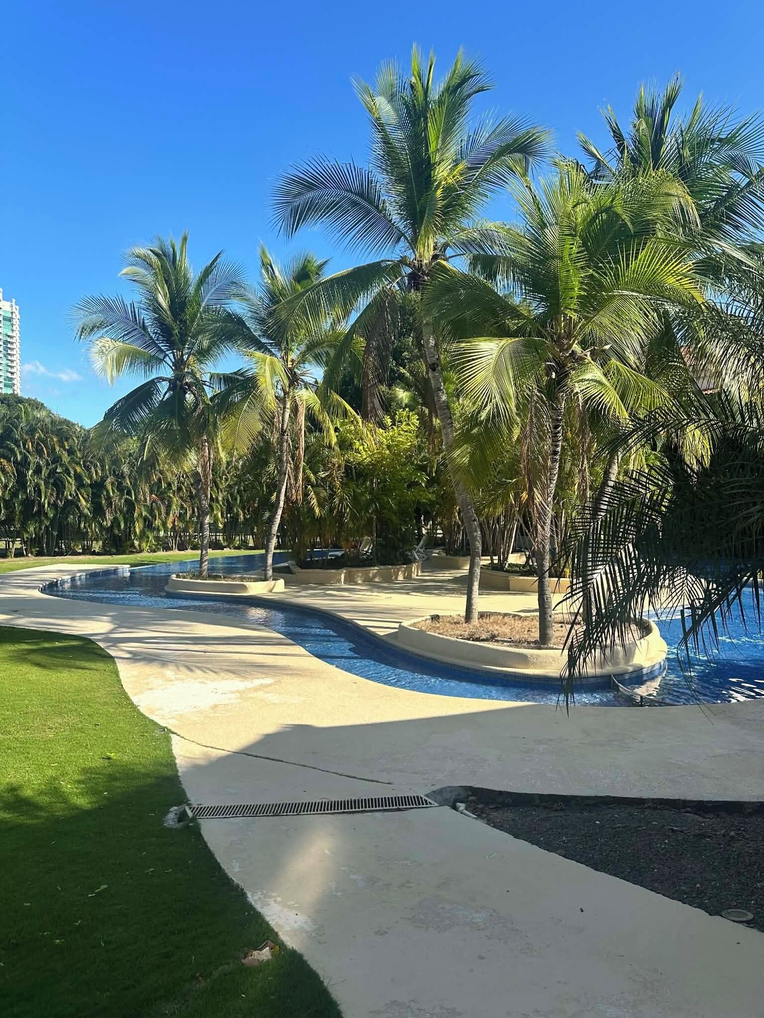 A pool area with palm trees and a clear blue sky.