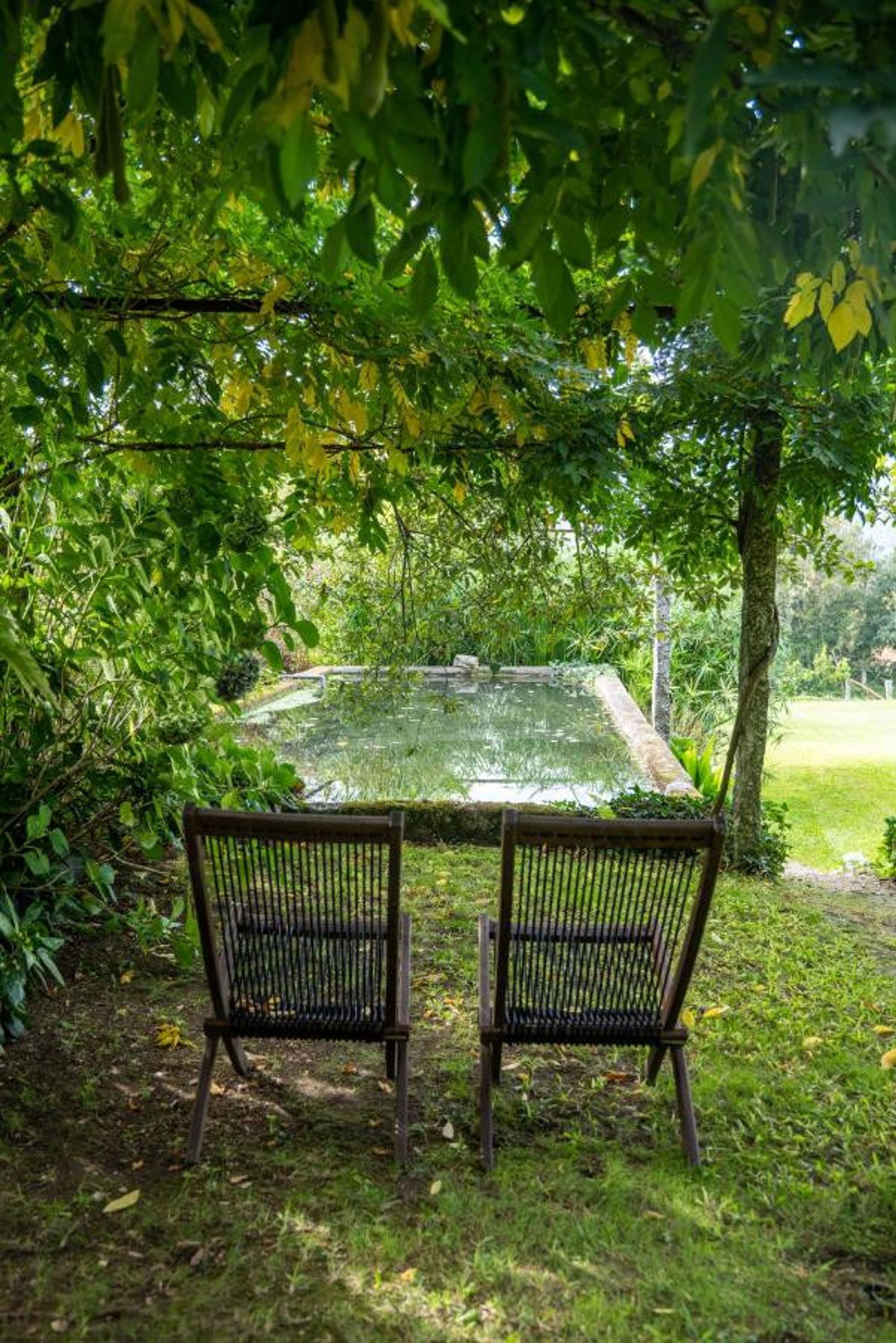 A garden with a rectangular pond, two wicker chairs, and lush greenery.