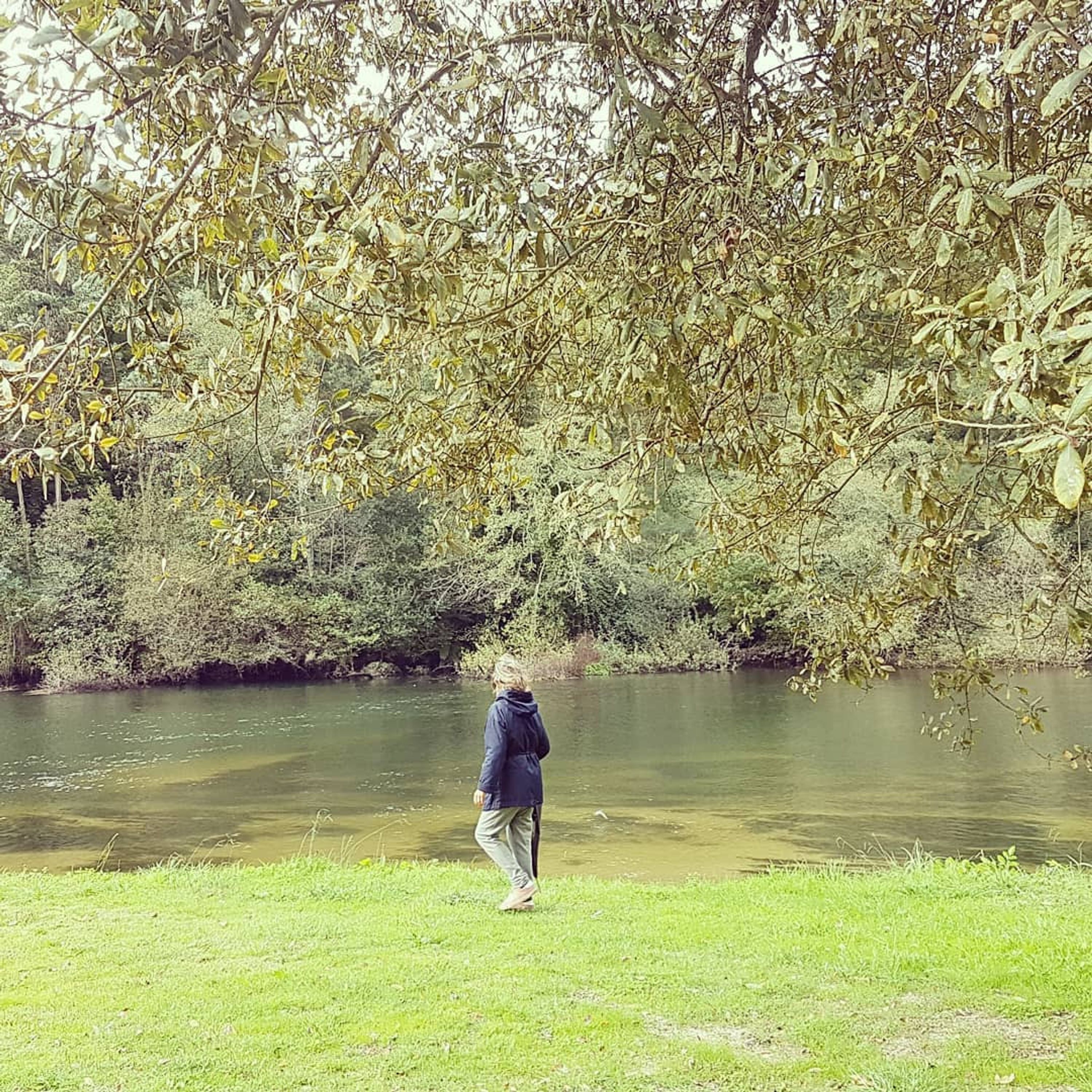A person walking along a grassy riverbank with trees and foliage in the background.