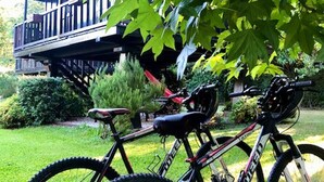 A bicycle parked under a tree in a garden with a wooden deck in the background. - Pool Villa Espigueiro I (Arcos de Valdevez)