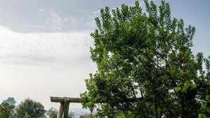 A woman in a white dress swinging on a wooden swing set in a lush garden. - Pool Villa Espigueiro I (Arcos de Valdevez)
