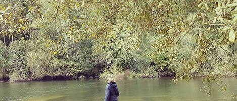 A person standing by a river with trees in the background.