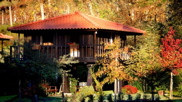 Une cabane en bois dotée d’un balcon, entourée d’arbres et d’un jardin.