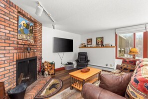 Télévision, cheminée, lecteur de DVD