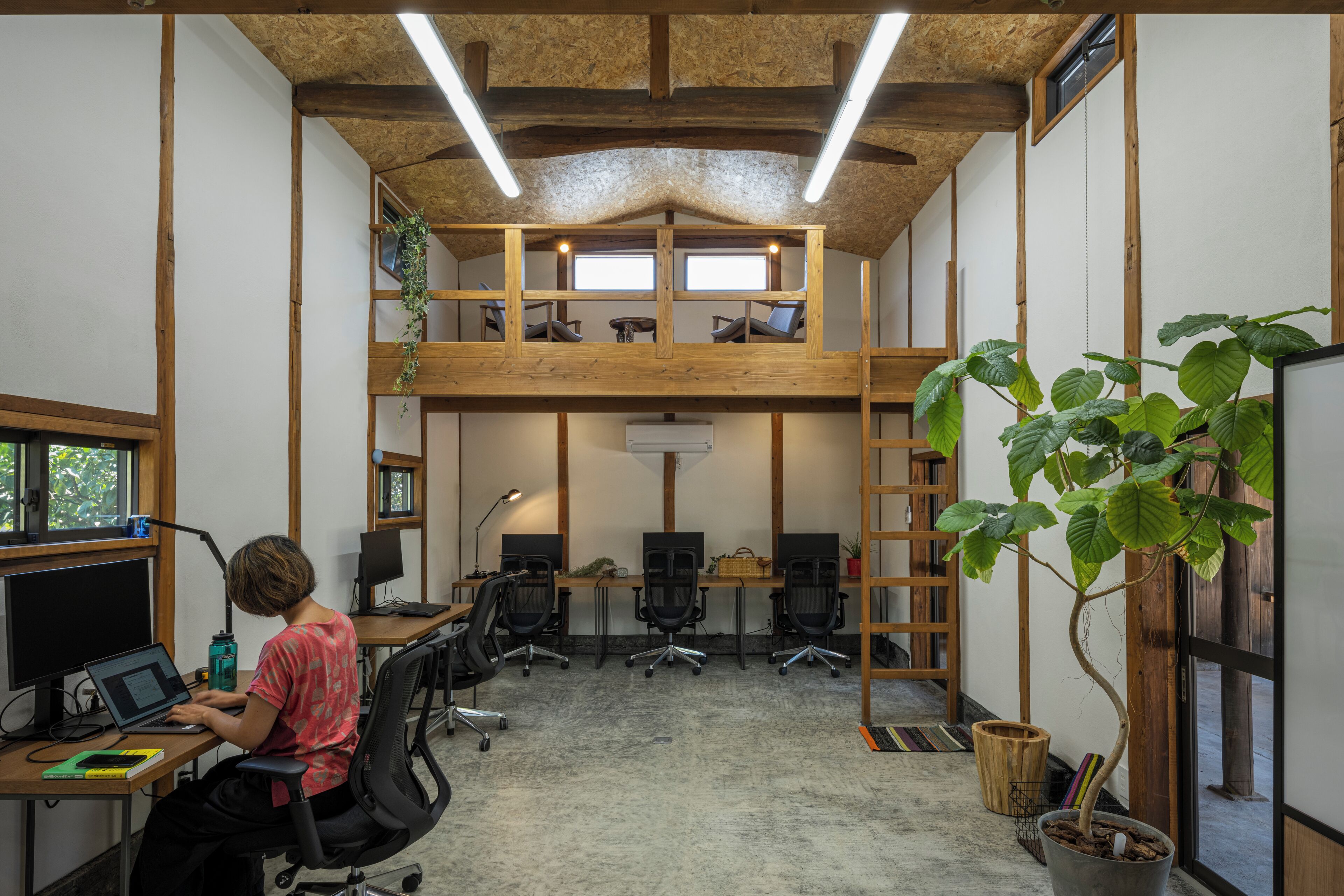 A spacious office with multiple workstations, a mezzanine level, and a large potted plant.