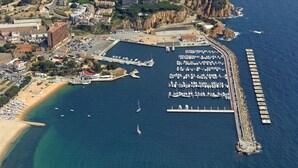 An aerial view of a coastal marina with boats, a beach, and buildings.