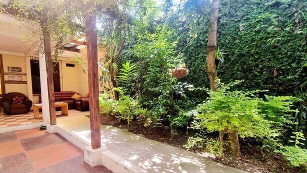 Un patio con piso a cuadros, mobiliario de madera y abundante vegetación.