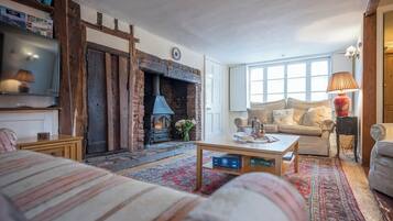 TV, fireplace, books