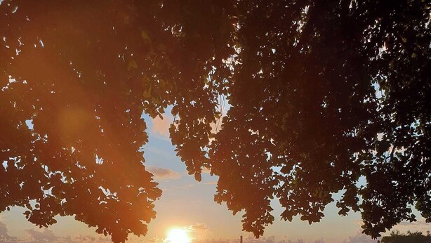 Une scène de plage avec un coucher de soleil sur des eaux calmes, une plage de sable et des arbres encadrant le paysage.