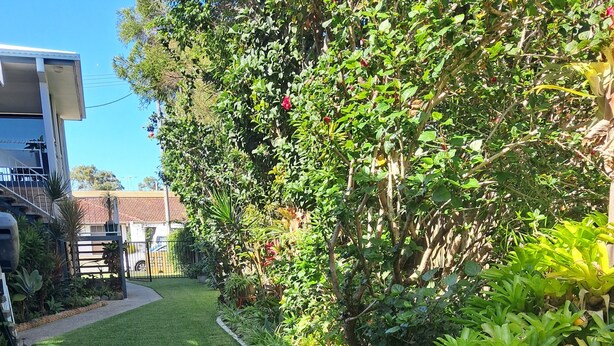 A well-maintained garden with a curved pathway, lush greenery, and a variety of plants. -  Bribie Island Dreams (Bongaree)
