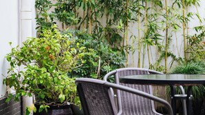 Eine Terrasse mit Tisch und Stühlen, umgeben von Topfpflanzen und einer Bambuswand.