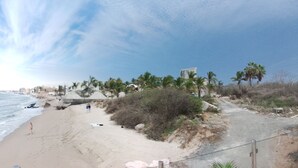 Una playa con arena, palmeras y una carretera que la bordea.