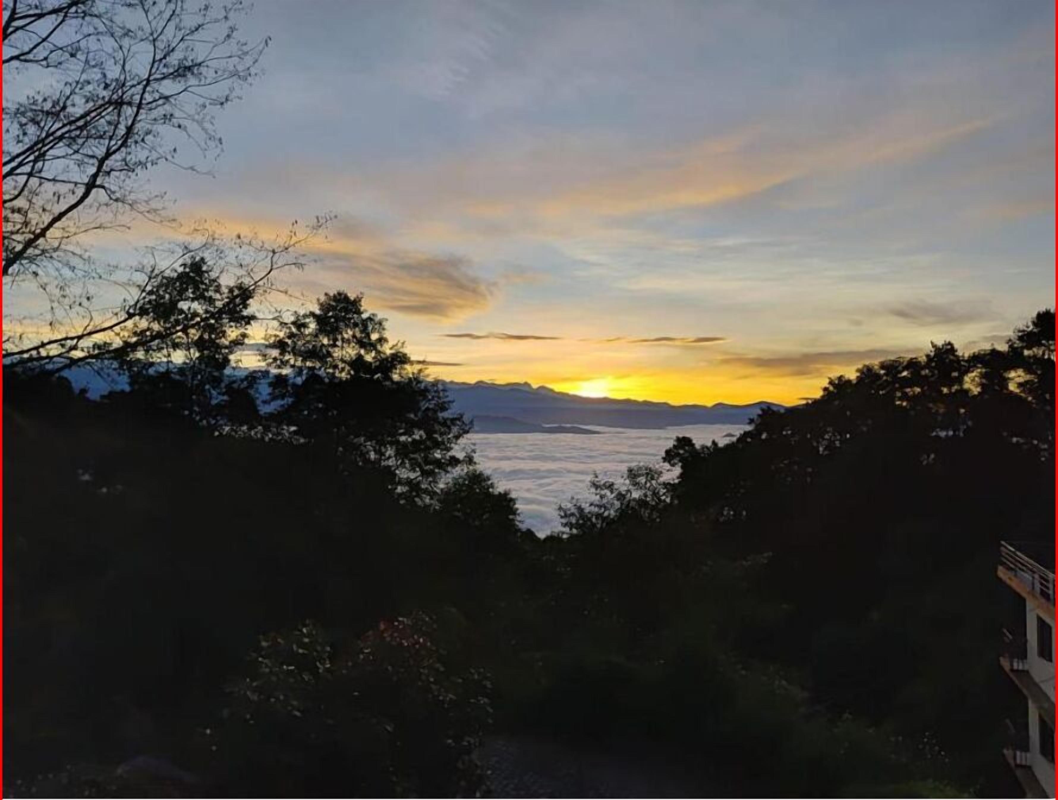 A view of a mountainous landscape with trees in the foreground and a sunset in the background.