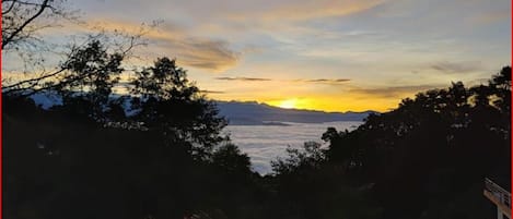 A view of a mountainous landscape with trees in the foreground and a sunset in the background.