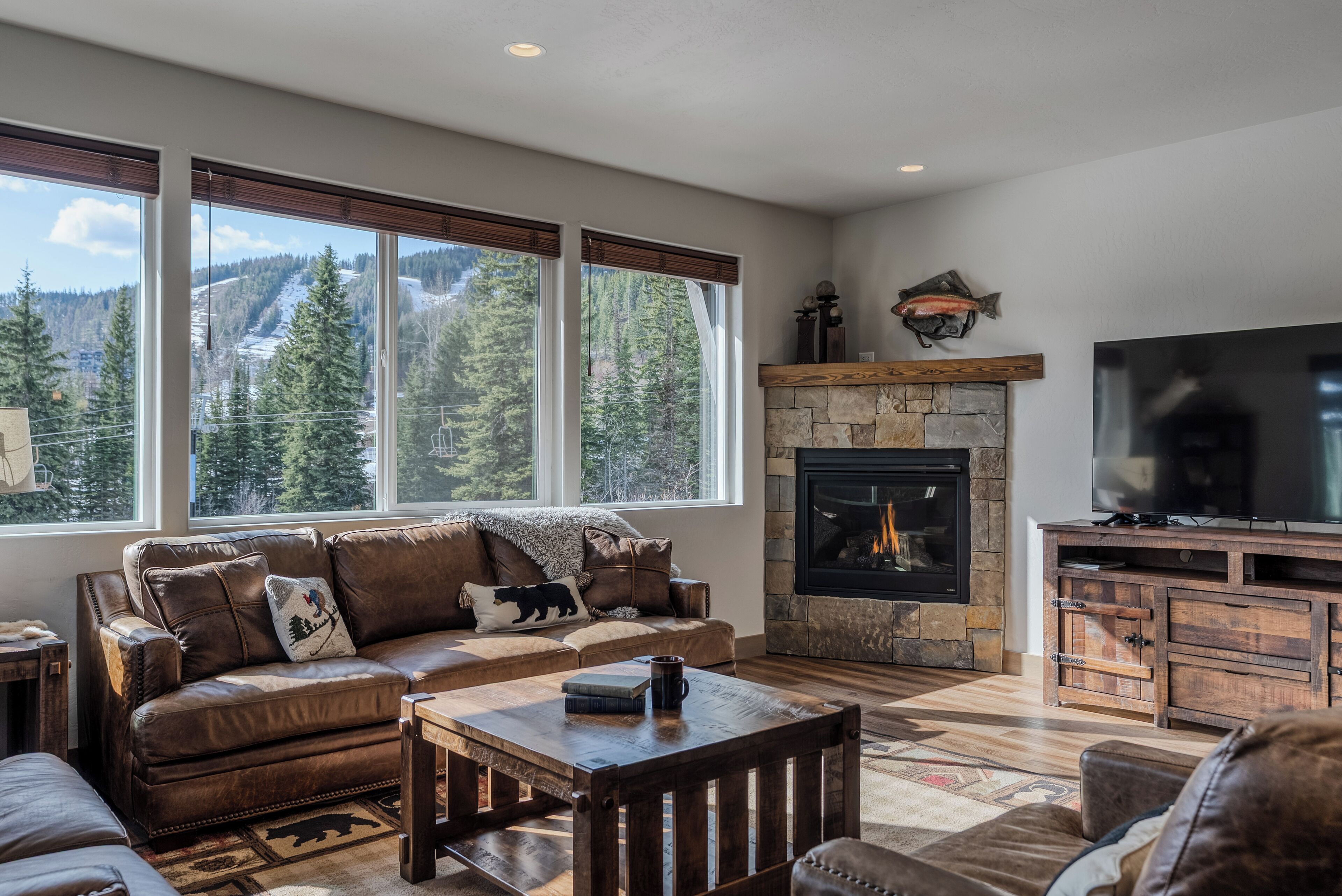 Télévision, cheminée