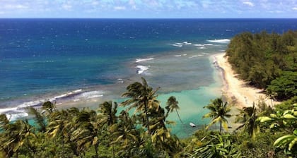 1 Min Walk to Sandy Barrier Reef-Protected Soft Beach 4br 4ba