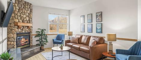 Télévision, cheminée, espaces bureaux