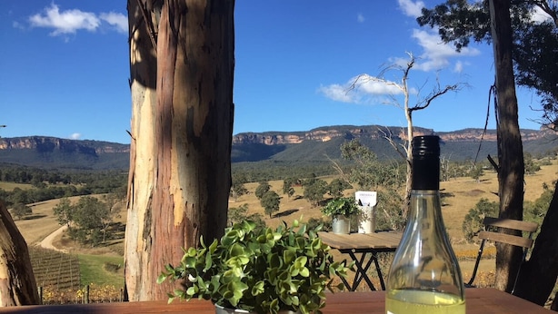 Uma garrafa de vinho e um vaso de planta sobre uma mesa de madeira, com vista panorâmica de colinas e árvores.